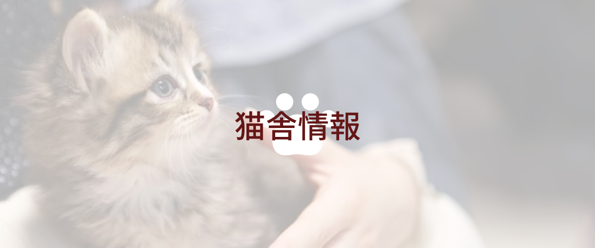 猫舎情報